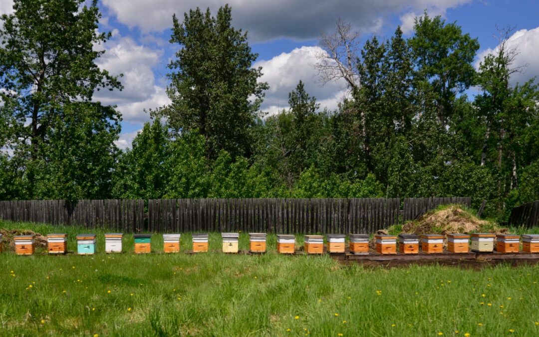 _DSC5309 Grey Owl Meadery
